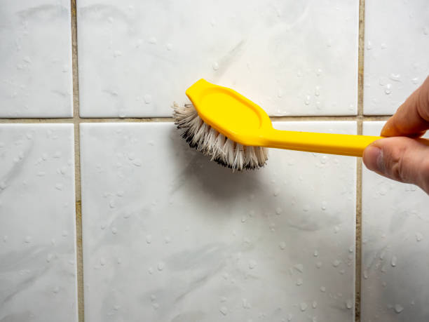 Best Localized Mold Remediation (e.g., coastal areas, humid climates) in Walden, NY